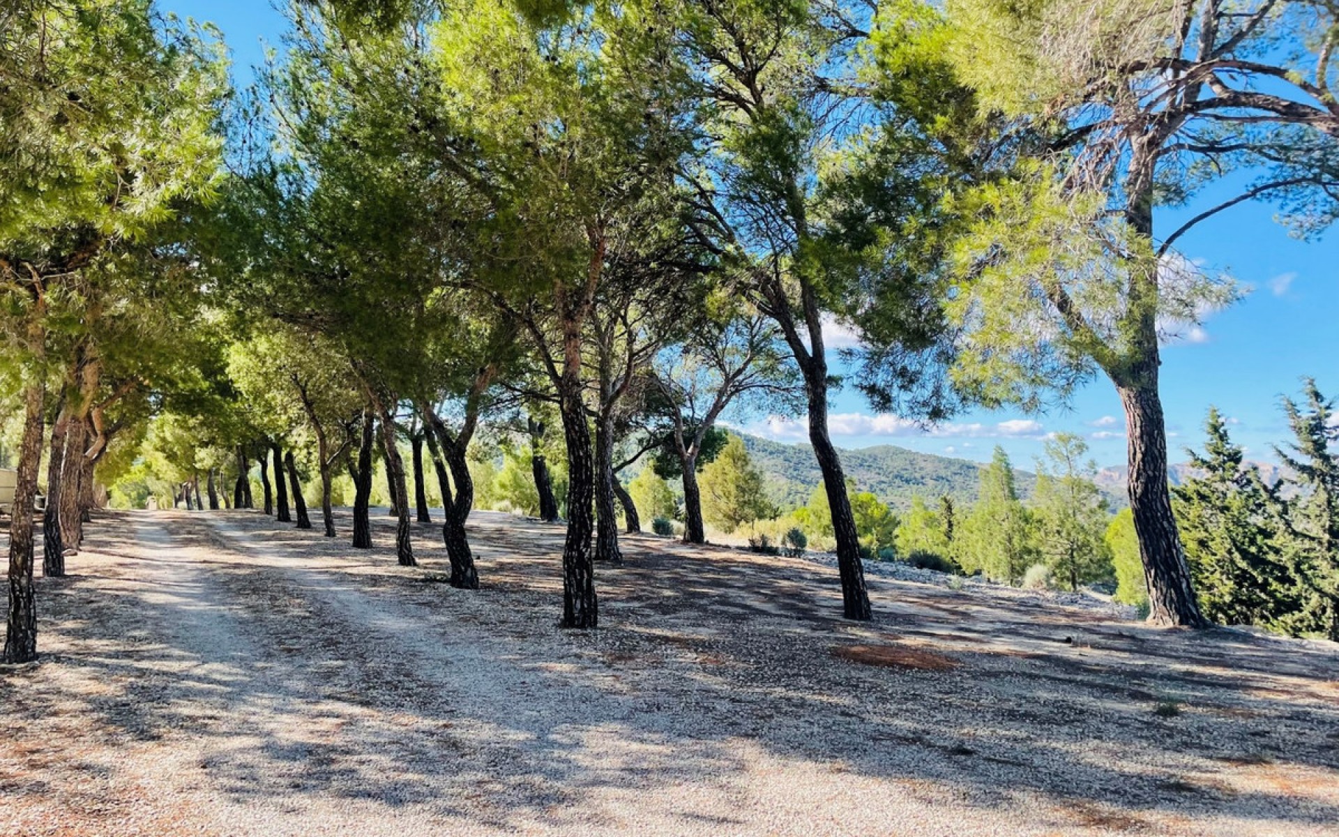 Resale - Country House - Jijona - Xixona - Jijona - Xixona Centro