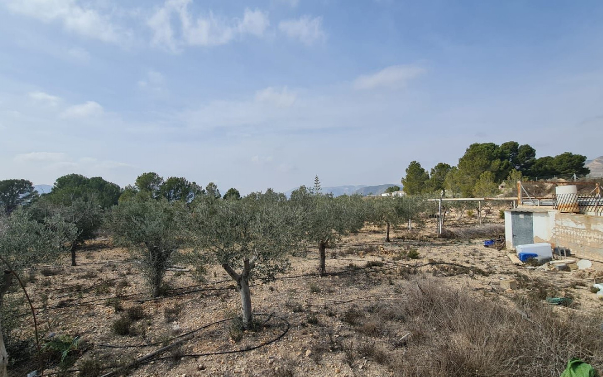 Resale - Country House - La Romana - La Romana Centro