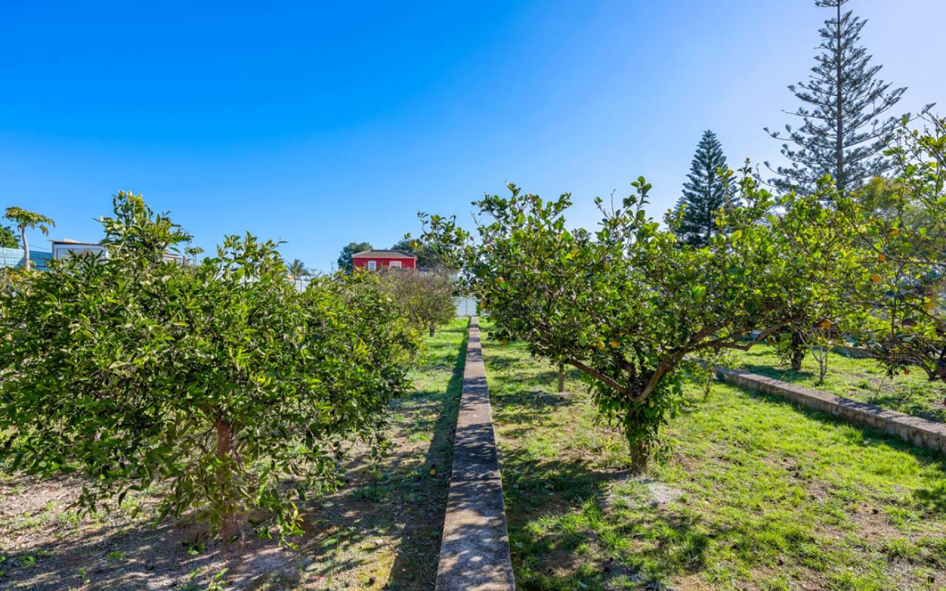 Resale - Country House - Los Montesinos