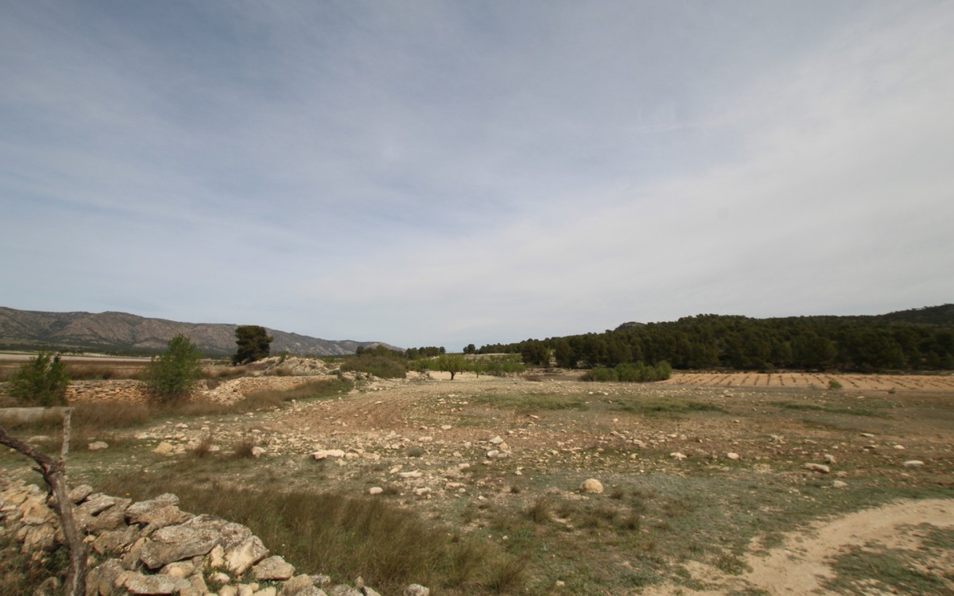 Resale - Country House - Monóvar - Monòver - Monóvar - Monòver Centro