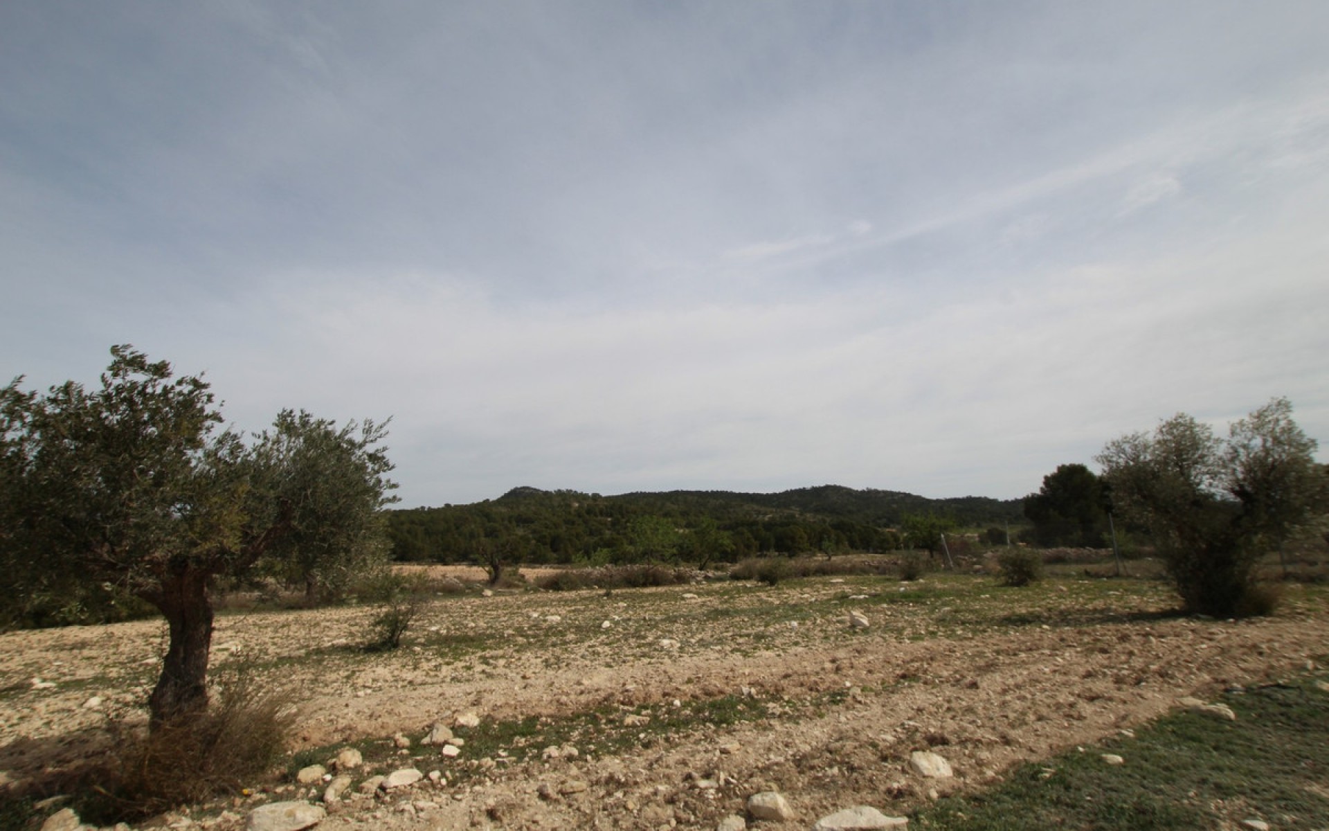 Resale - Country House - Monóvar - Monòver - Monóvar - Monòver Centro