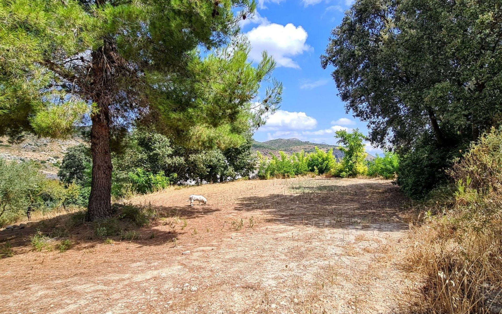 Resale - Country House - Muro de Alcoy - Muro de Alcoy Centro