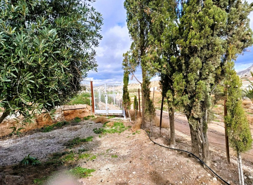 Resale - Country House - Novelda - Novelda Centro