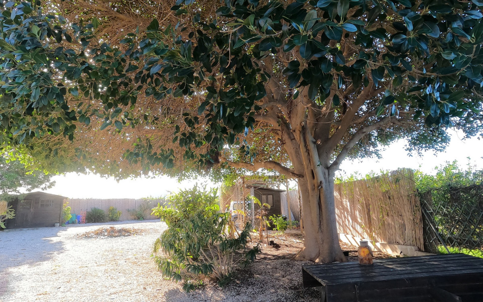 Resale - Country House - Orihuela - La Campaneta