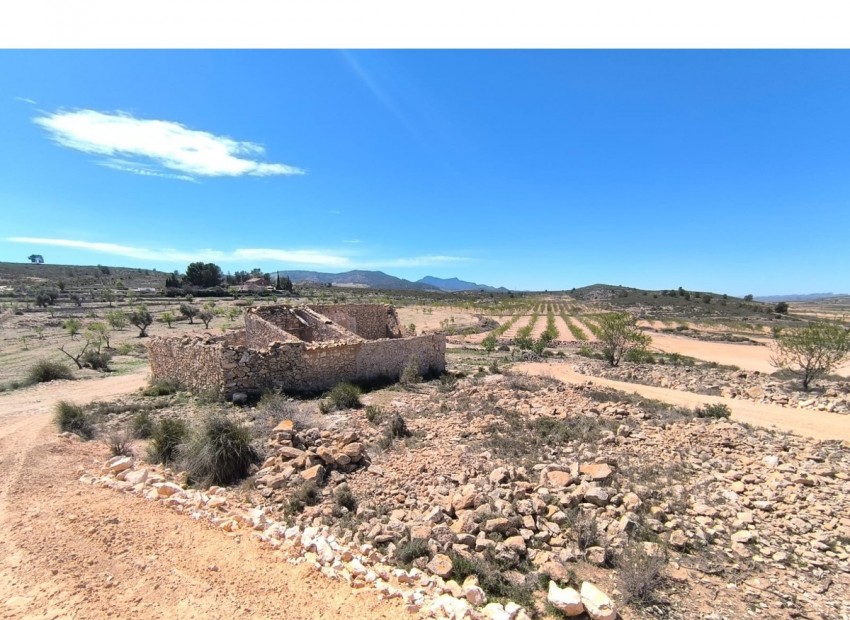 Resale - Country House - Pinoso - Pinoso Centro