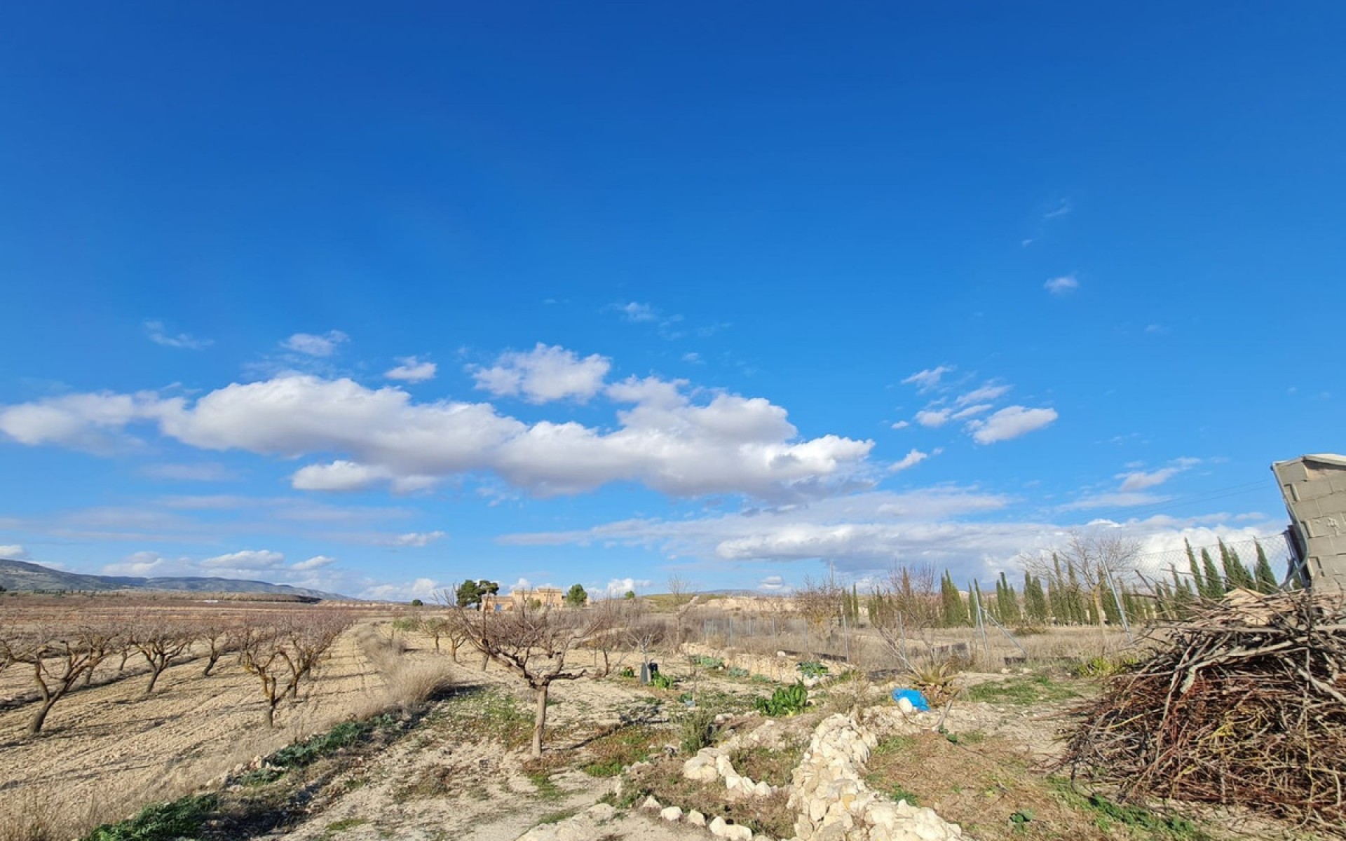 Resale - Country House - Pinoso - Pinoso Centro