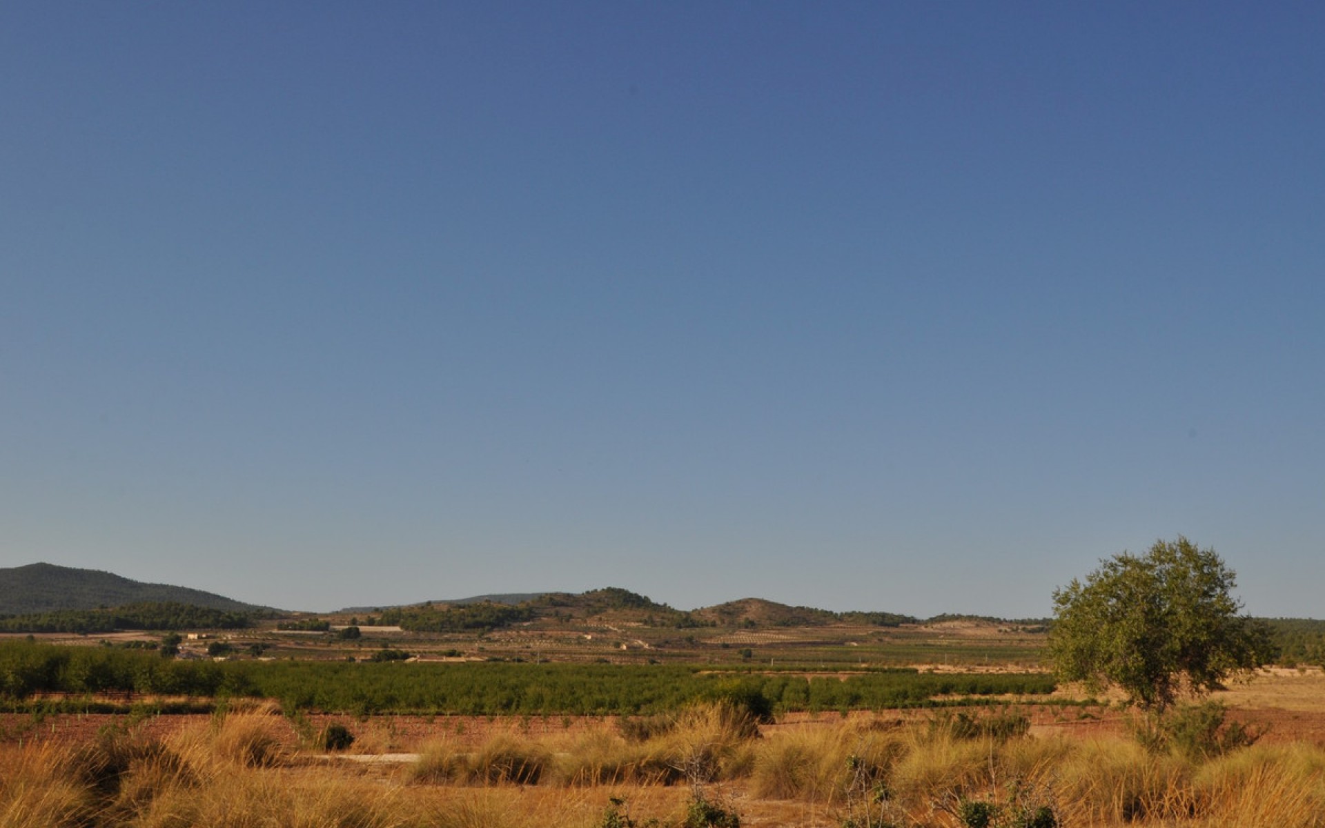 Resale - Country House - Pinoso - Pinoso Centro