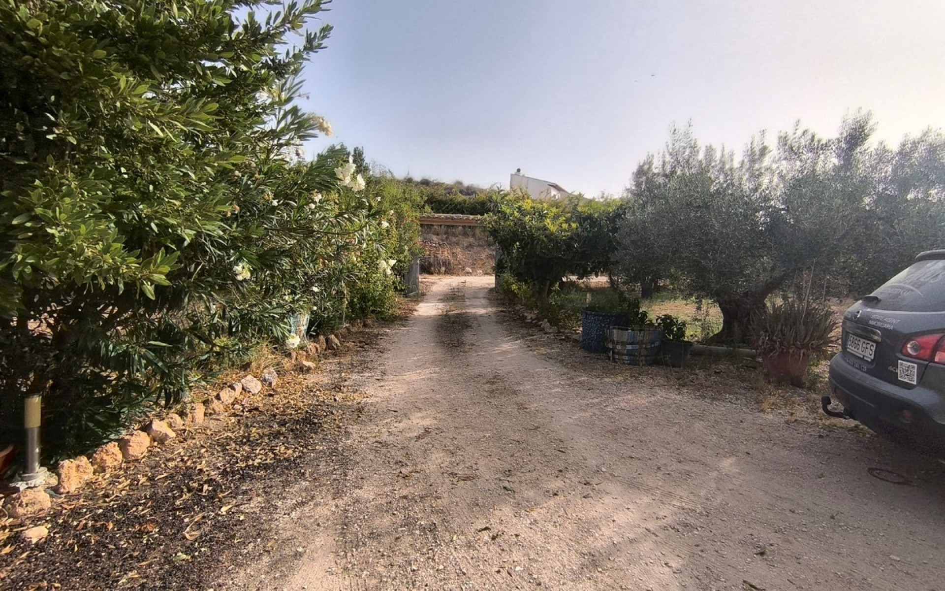 Resale - Country House - Pinoso - Pinoso Centro