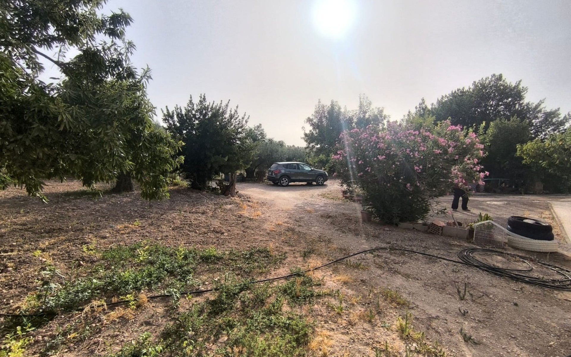 Resale - Country House - Pinoso - Pinoso Centro