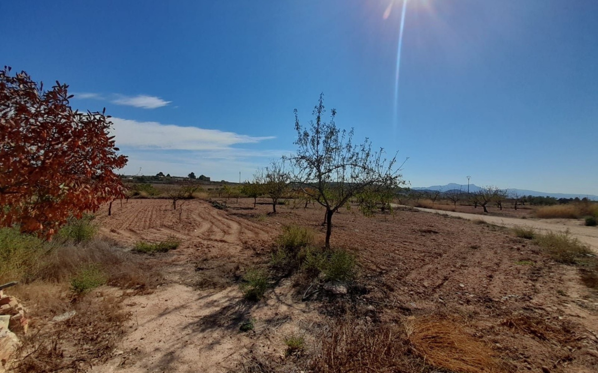 Resale - Country House - Pinoso - Pinoso Centro