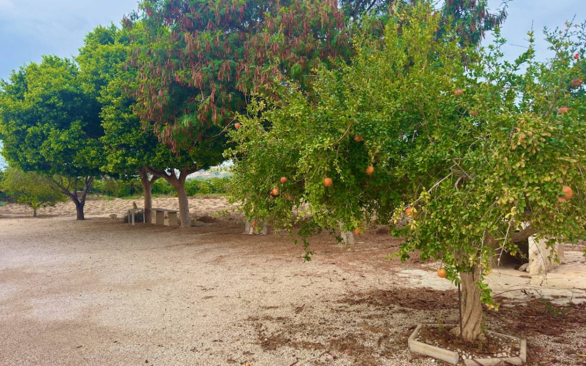 Resale - Country House - Rojales