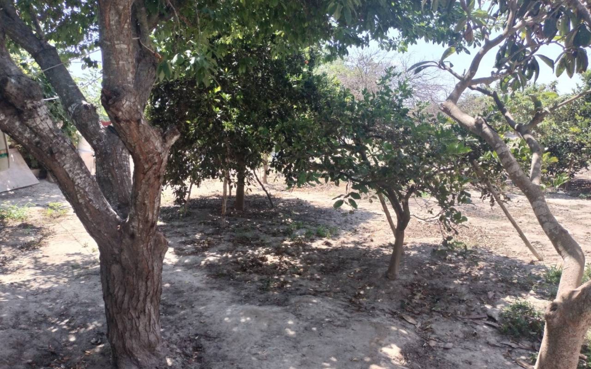 Resale - Country House - Rojales