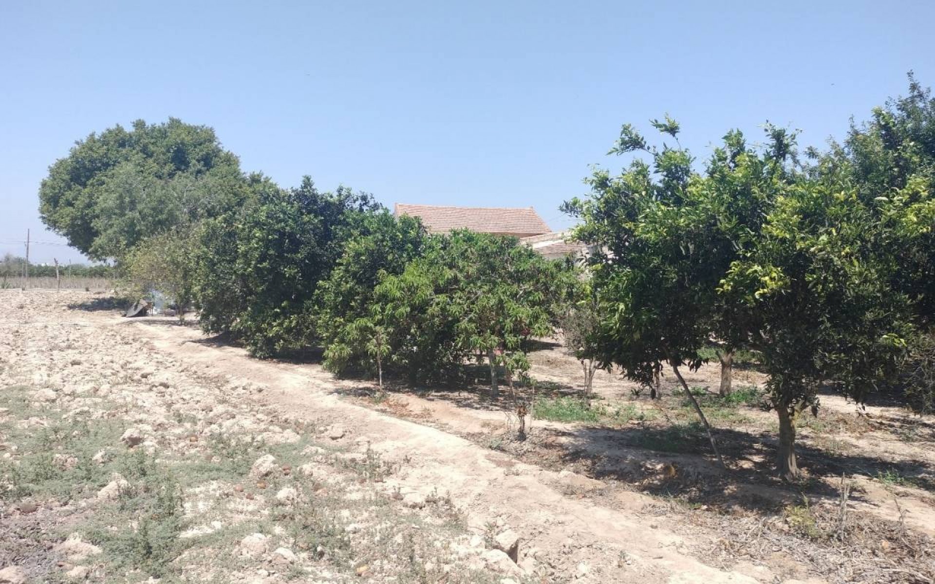 Resale - Country House - Rojales