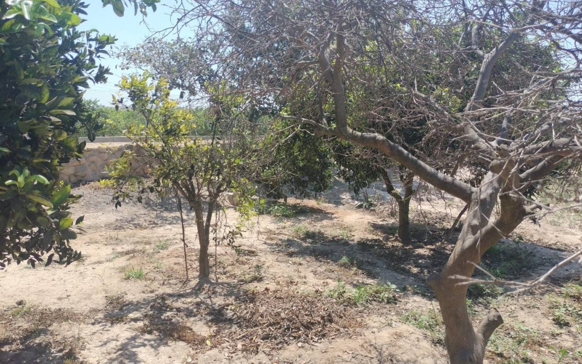 Resale - Country House - Rojales