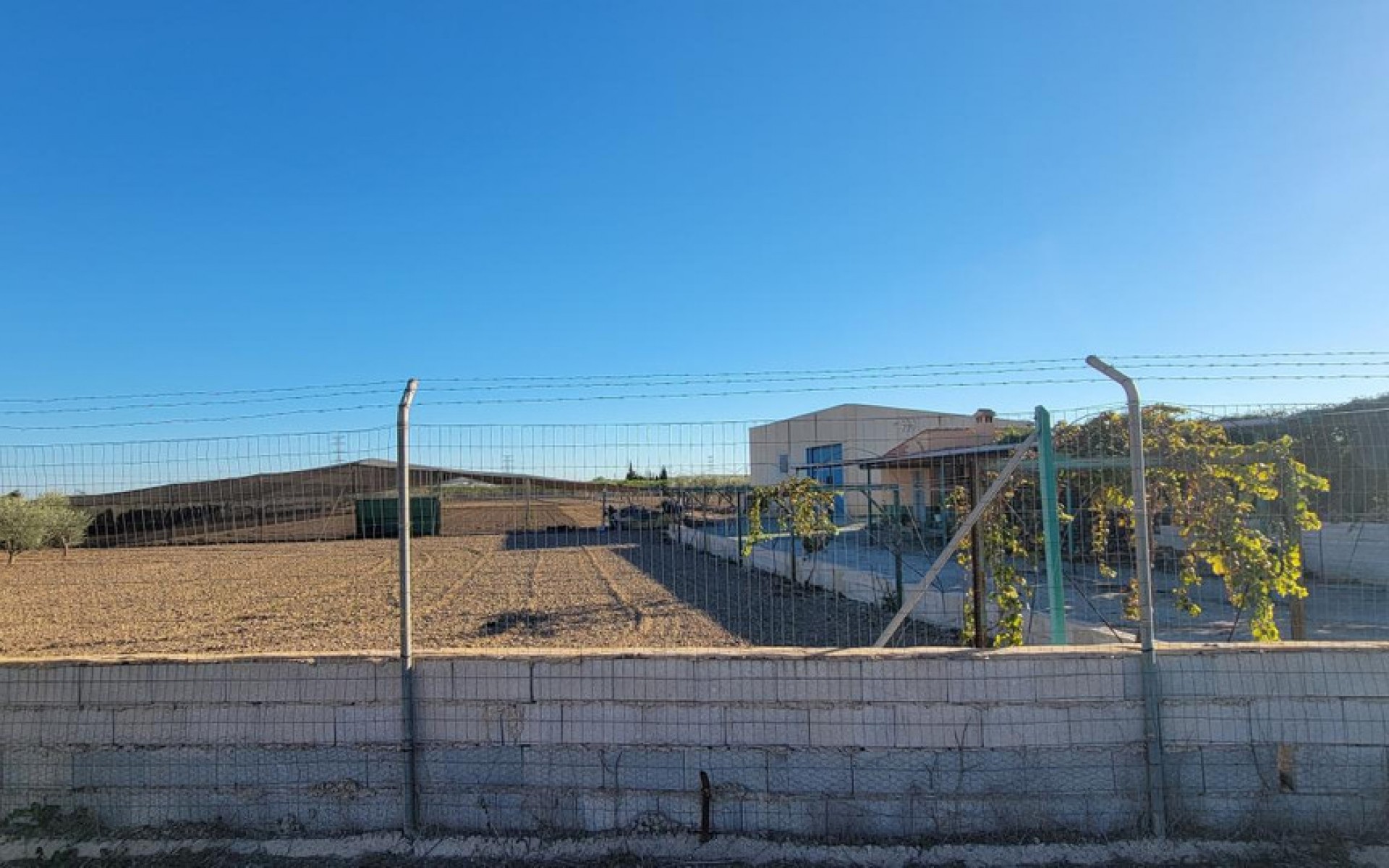 Resale - Country House - San Miguel De Salinas - San Miguel de Salinas Centro