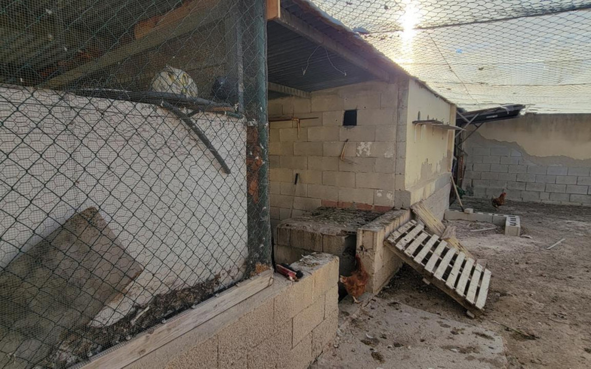 Resale - Country House - San Miguel De Salinas - San Miguel de Salinas Centro