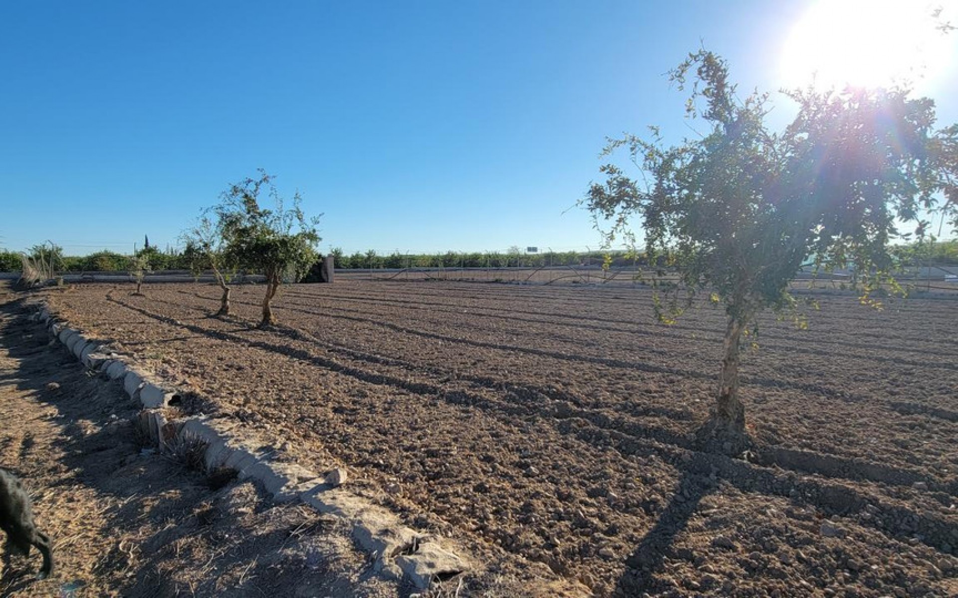 Resale - Country House - San Miguel De Salinas - San Miguel de Salinas Centro