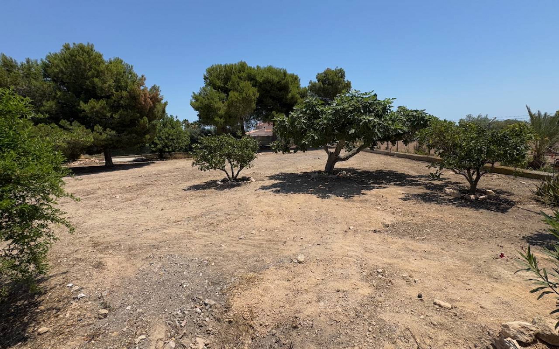 Resale - Country House - Torrellano