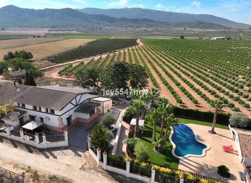 Resale - Country House - Yecla - Yecla Centro