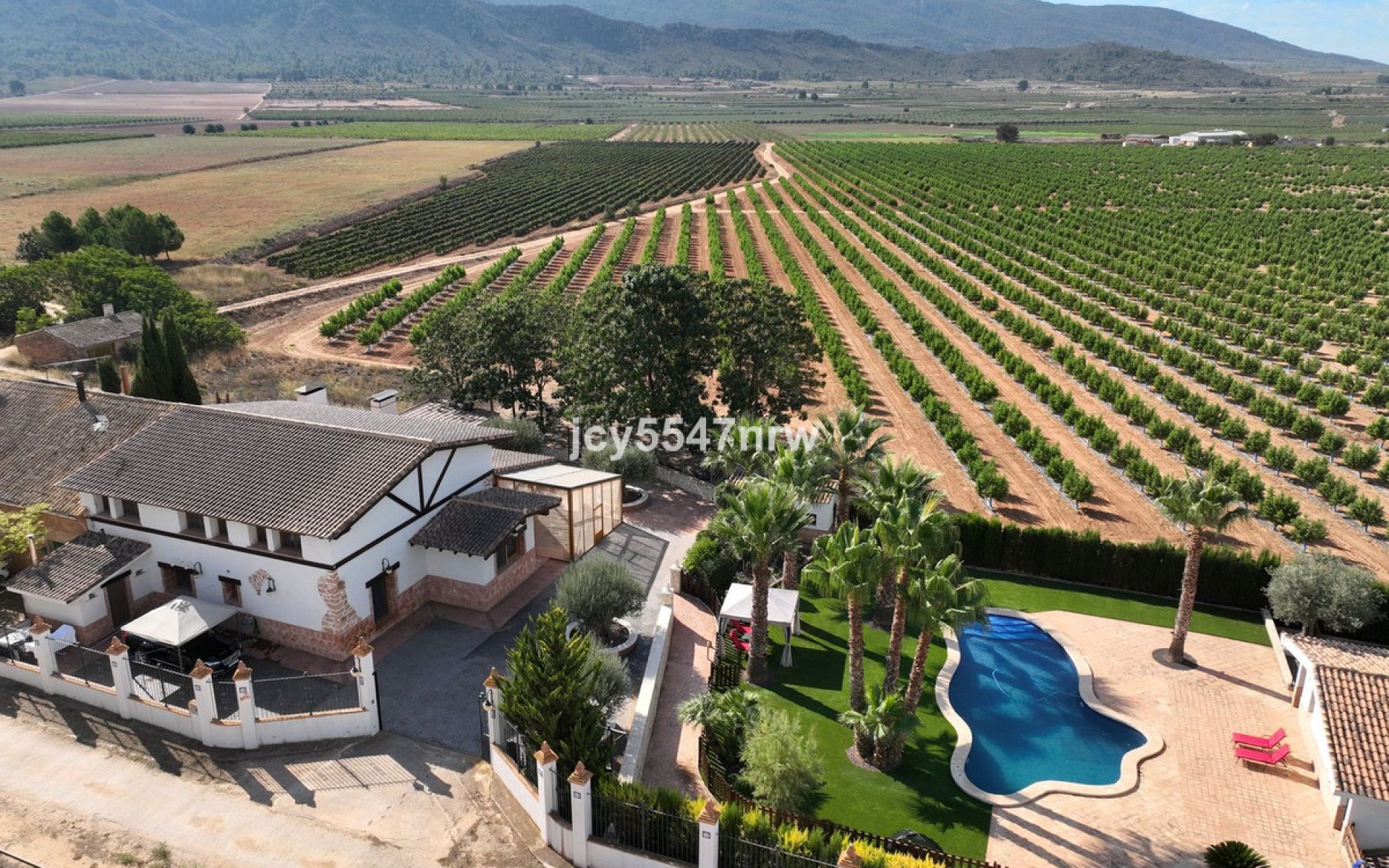 Resale - Country House - Yecla - Yecla Centro