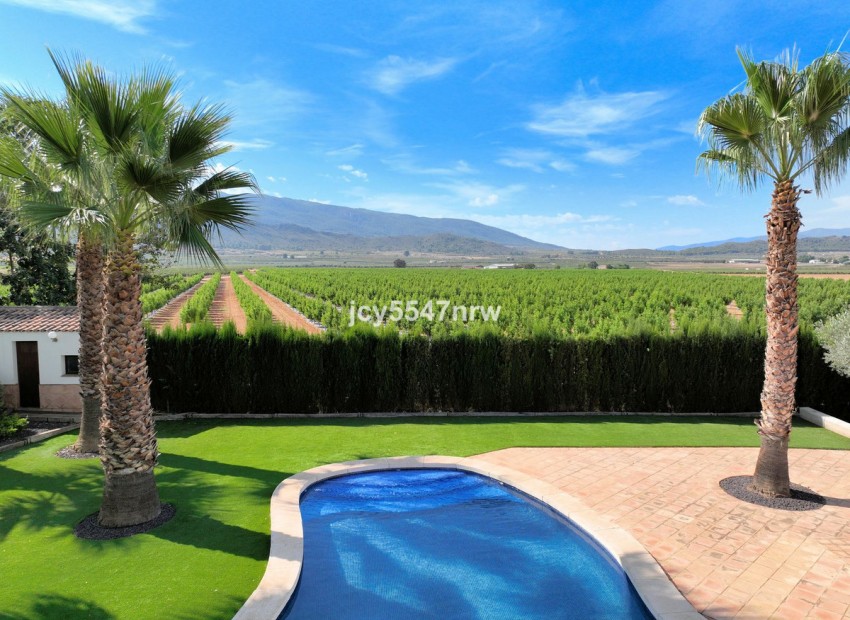 Resale - Country House - Yecla - Yecla Centro