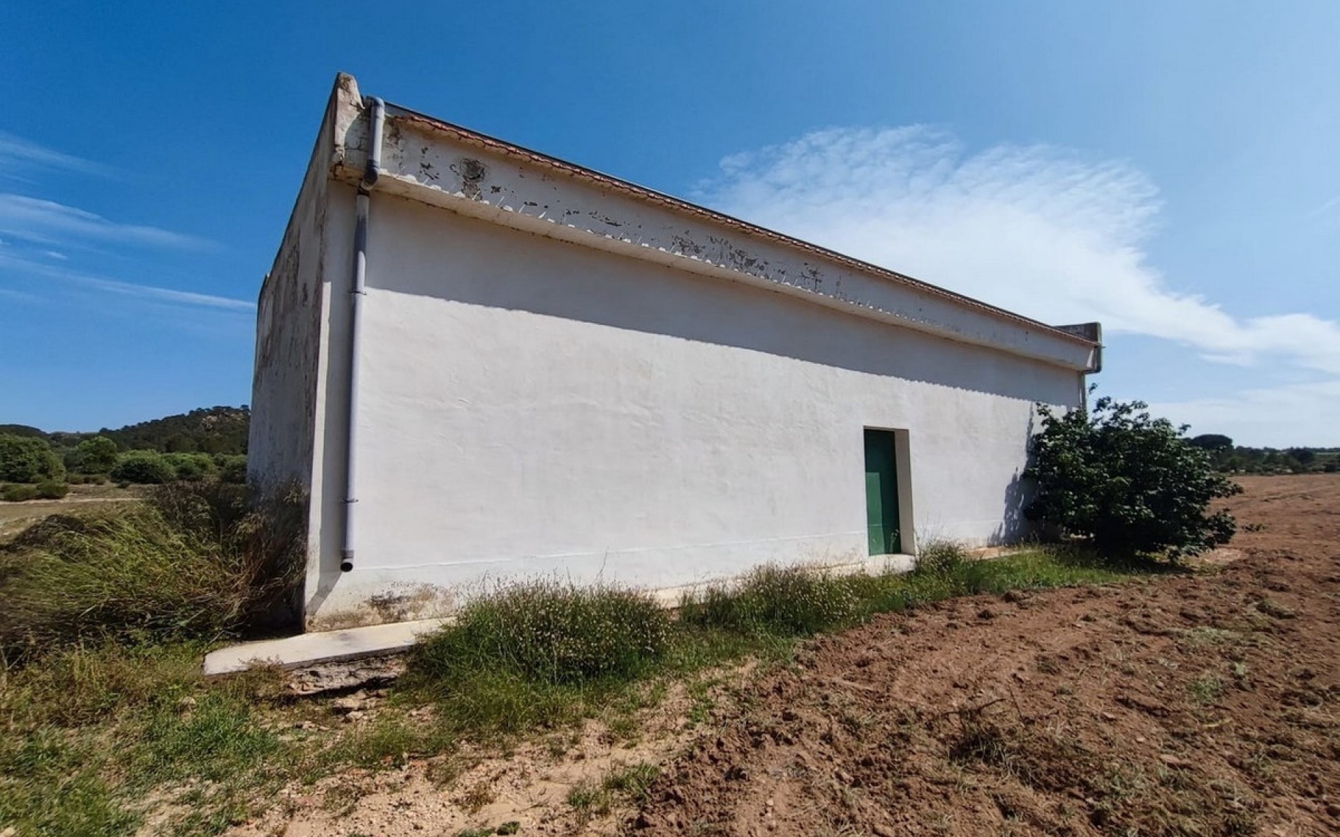 Resale - Country House - Yecla - Yecla Centro