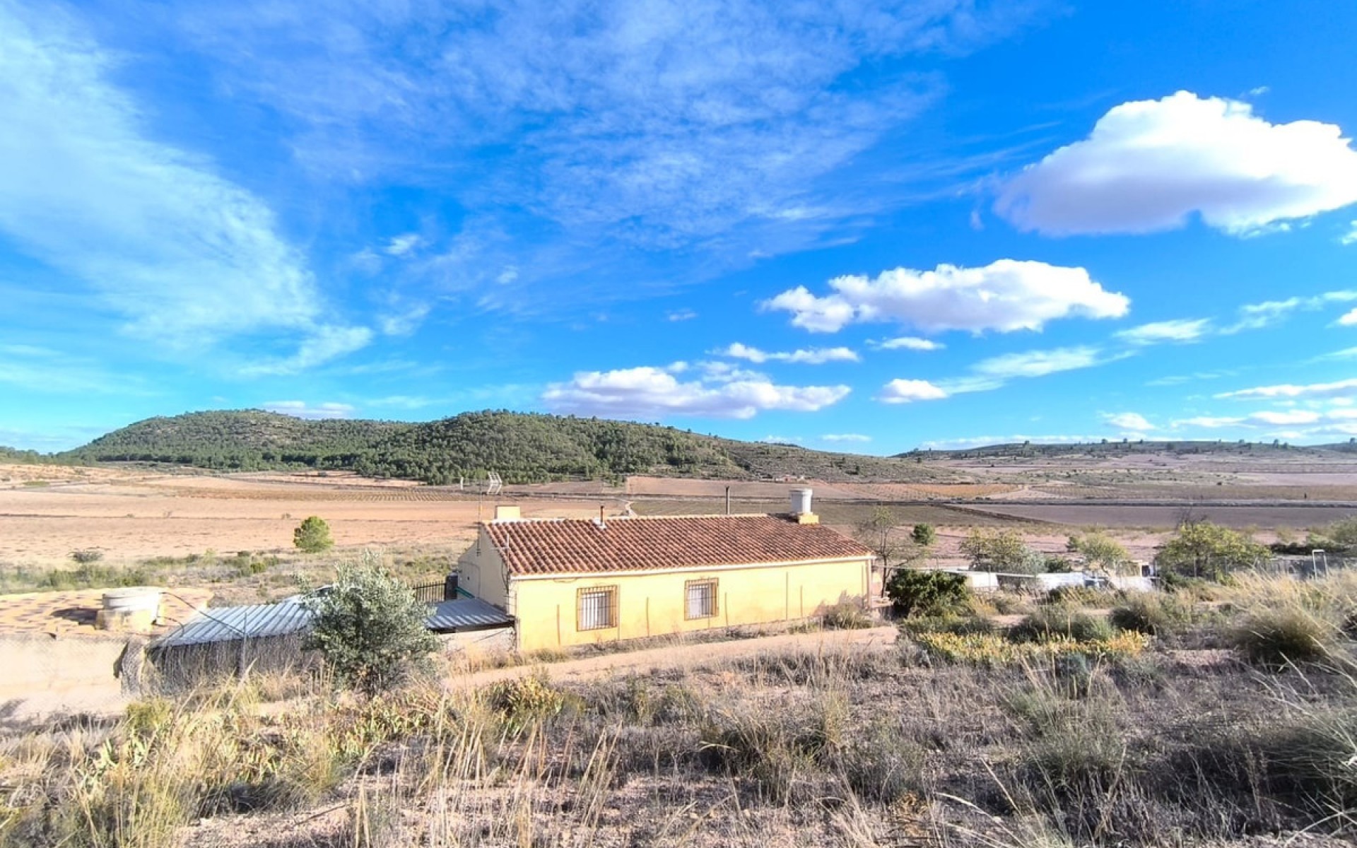 Resale - Country House - Yecla - Yecla Centro