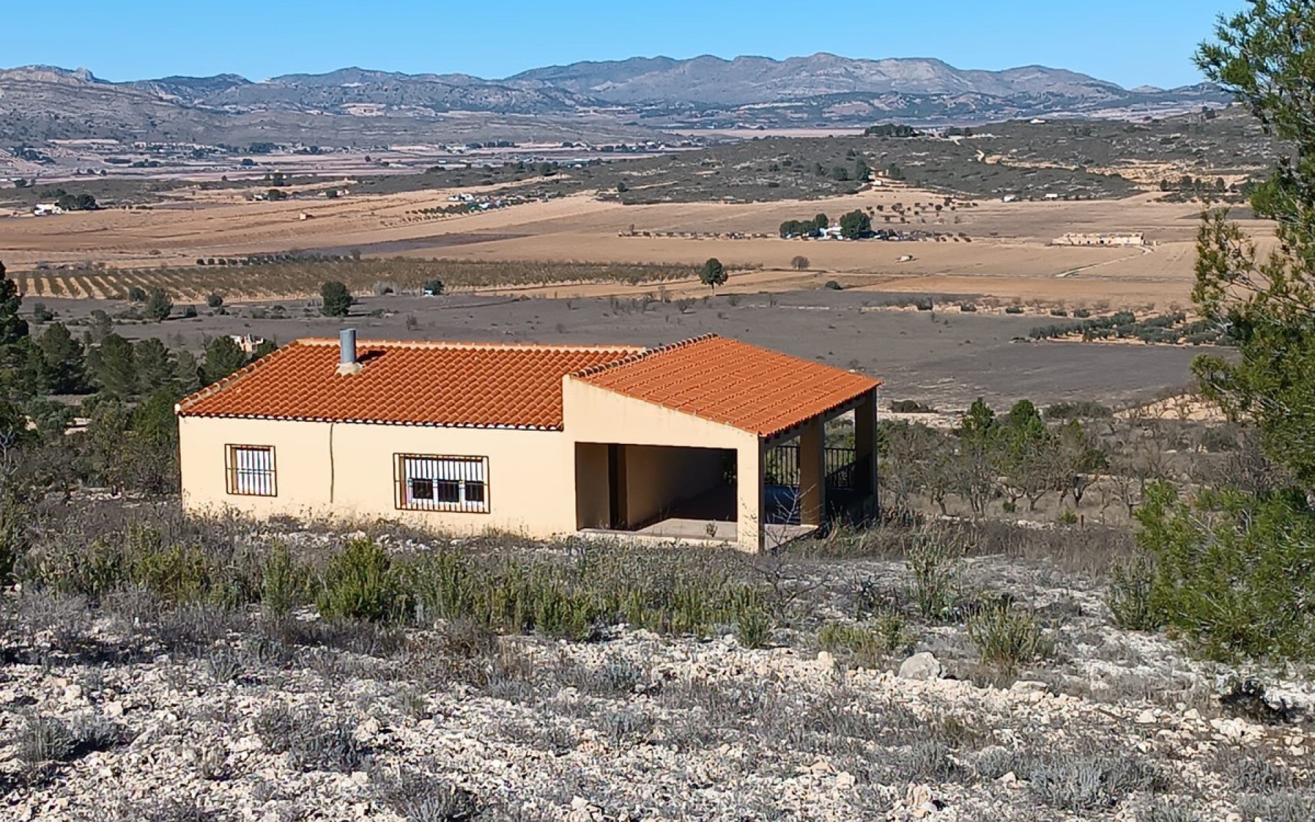 Resale - Country House - Yecla - Yecla Centro