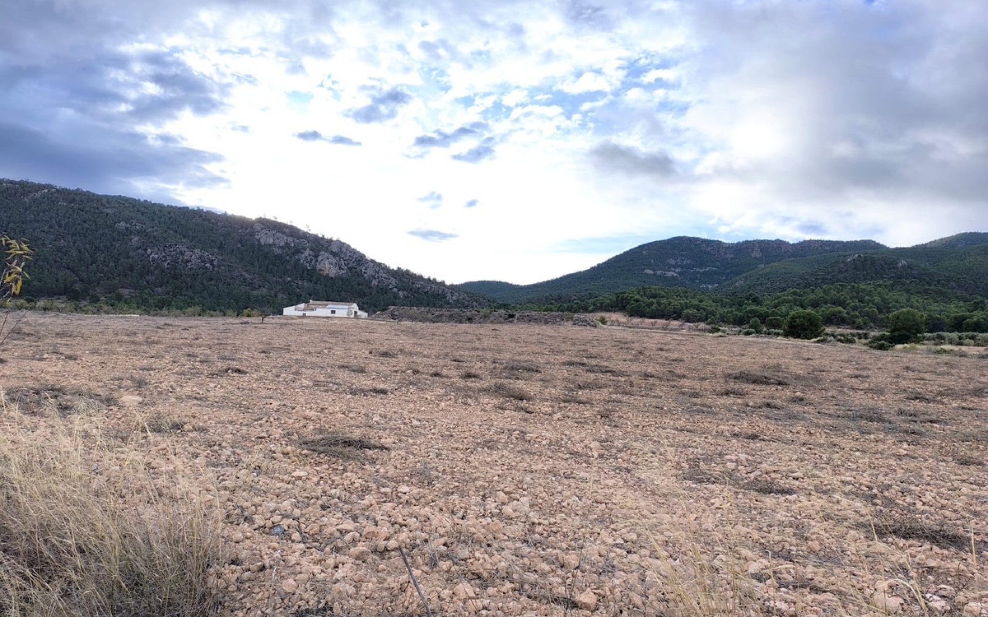 Resale - Country House - Yecla - Yecla Centro