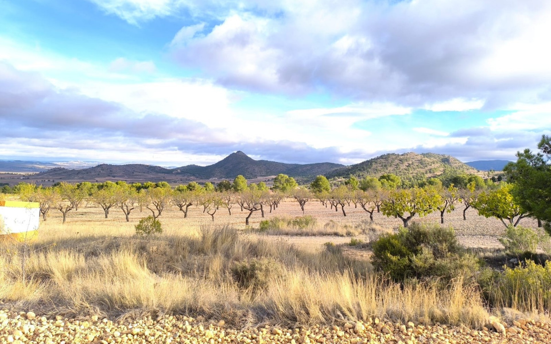 Resale - Country House - Yecla - Yecla Centro