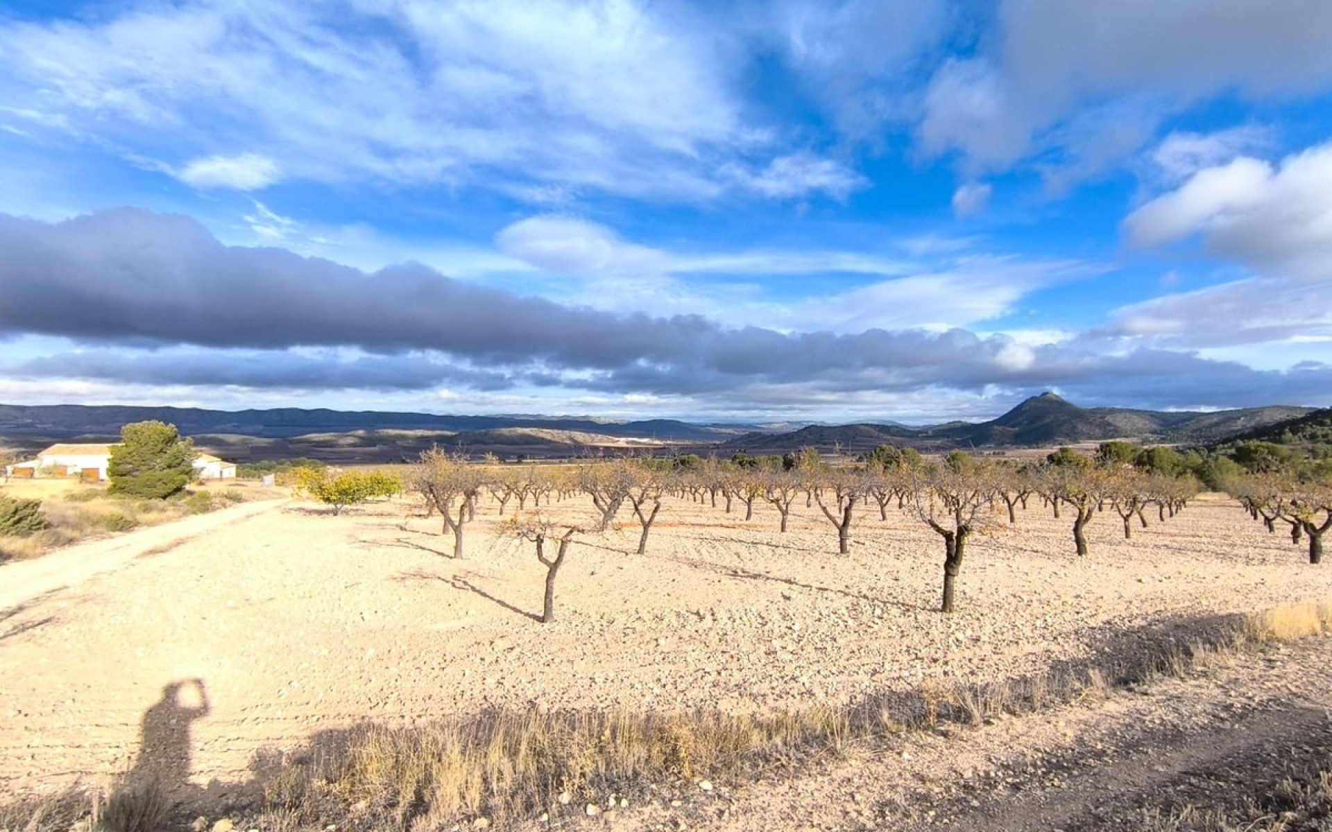 Resale - Country House - Yecla - Yecla Centro