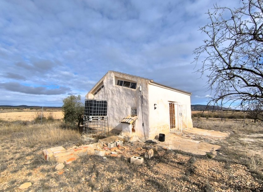 Resale - Country House - Yecla - Yecla Centro