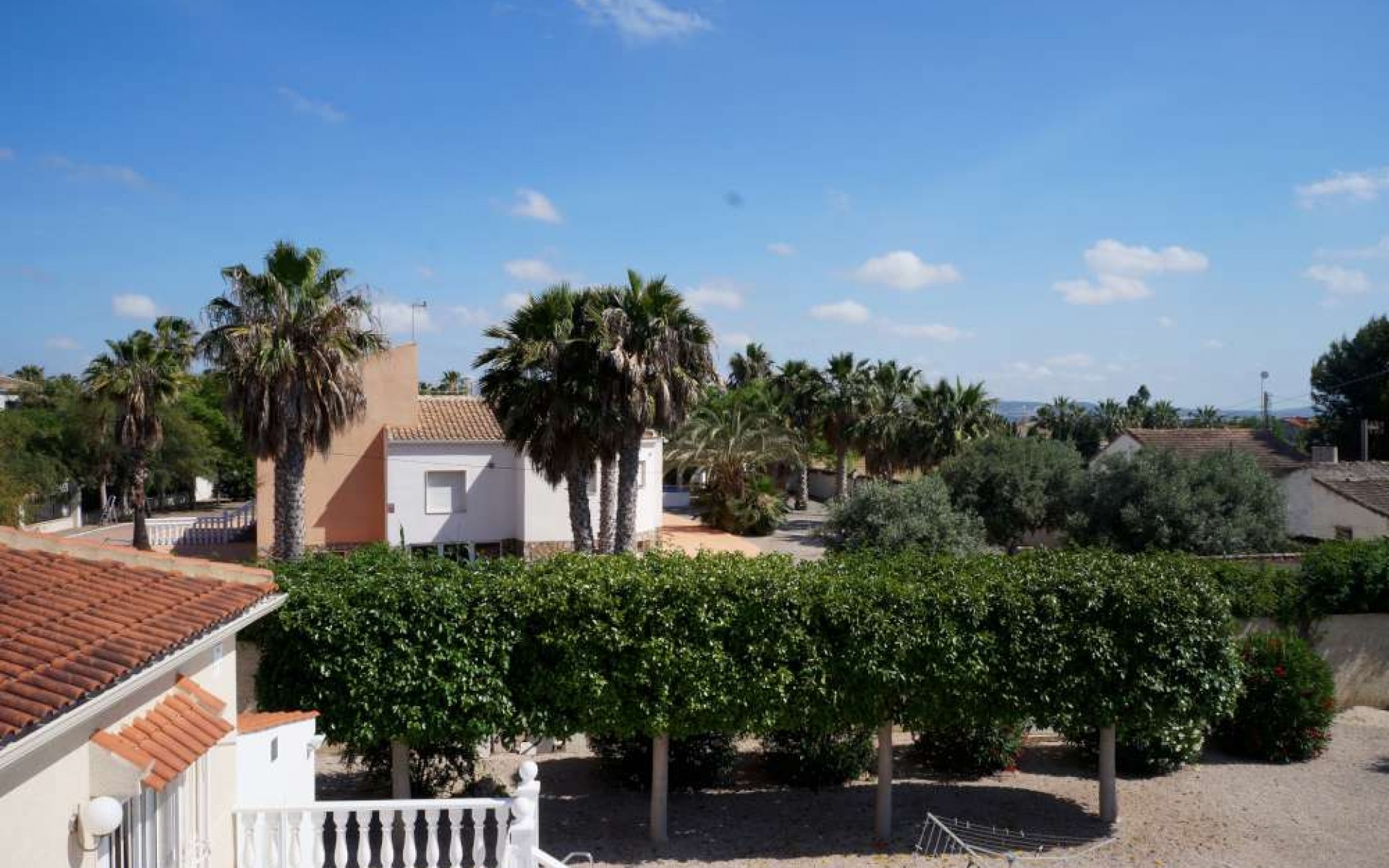 Resale - Finca Country Property - Catral