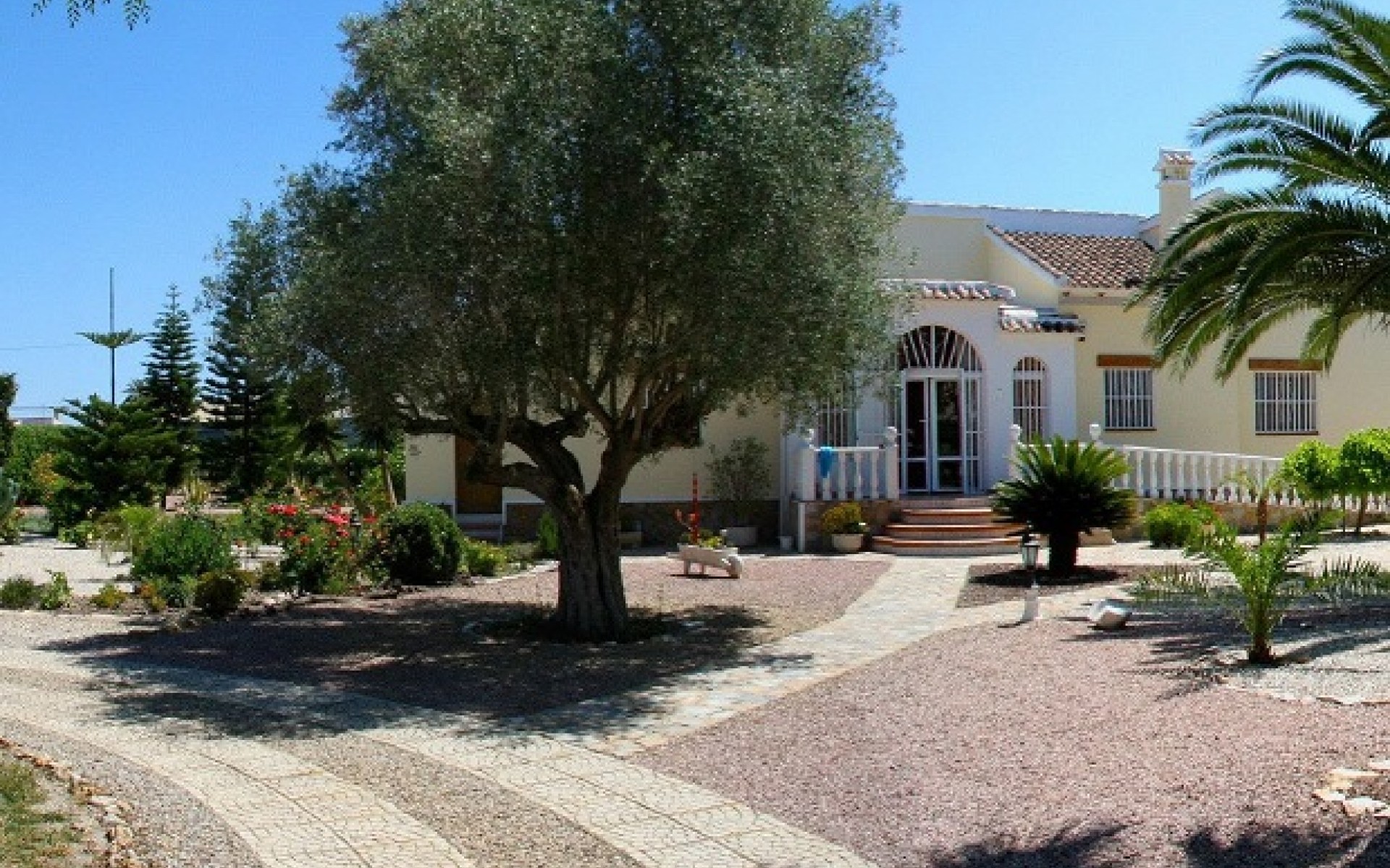 Resale - Finca Country Property - Daya Vieja