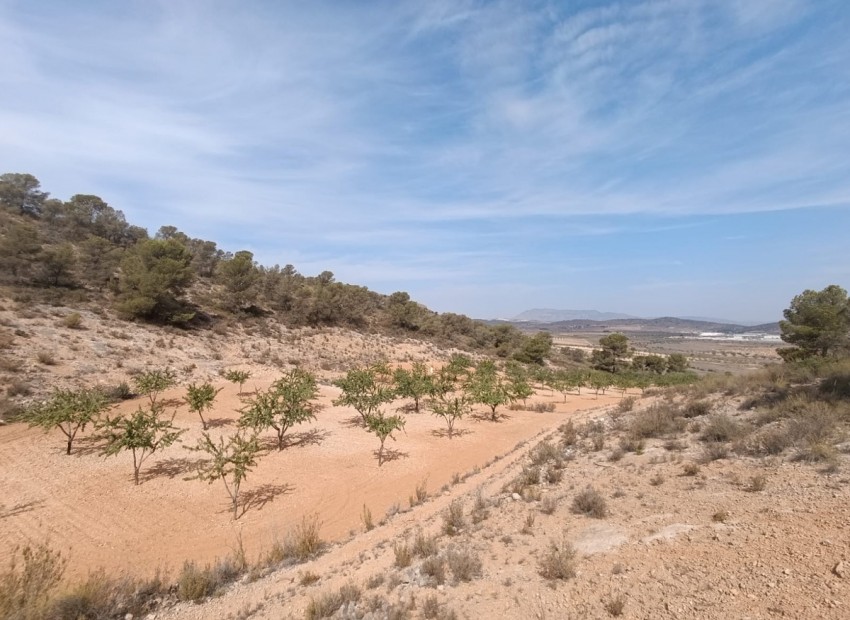 Resale - Land - Abanilla - Abanilla Centro