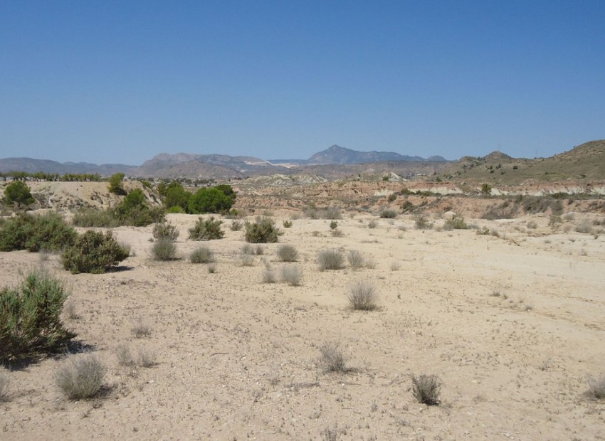 Resale - Land - Abanilla - Abanilla Centro