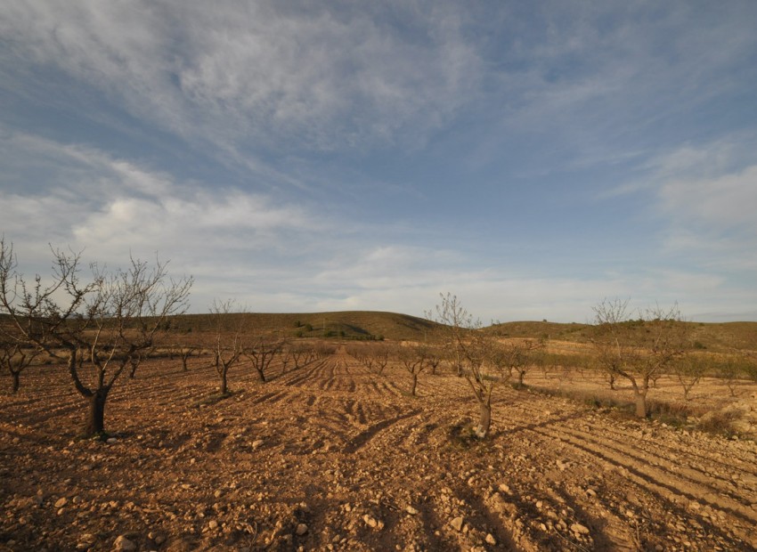Resale - Land - Abanilla - Abanilla Centro