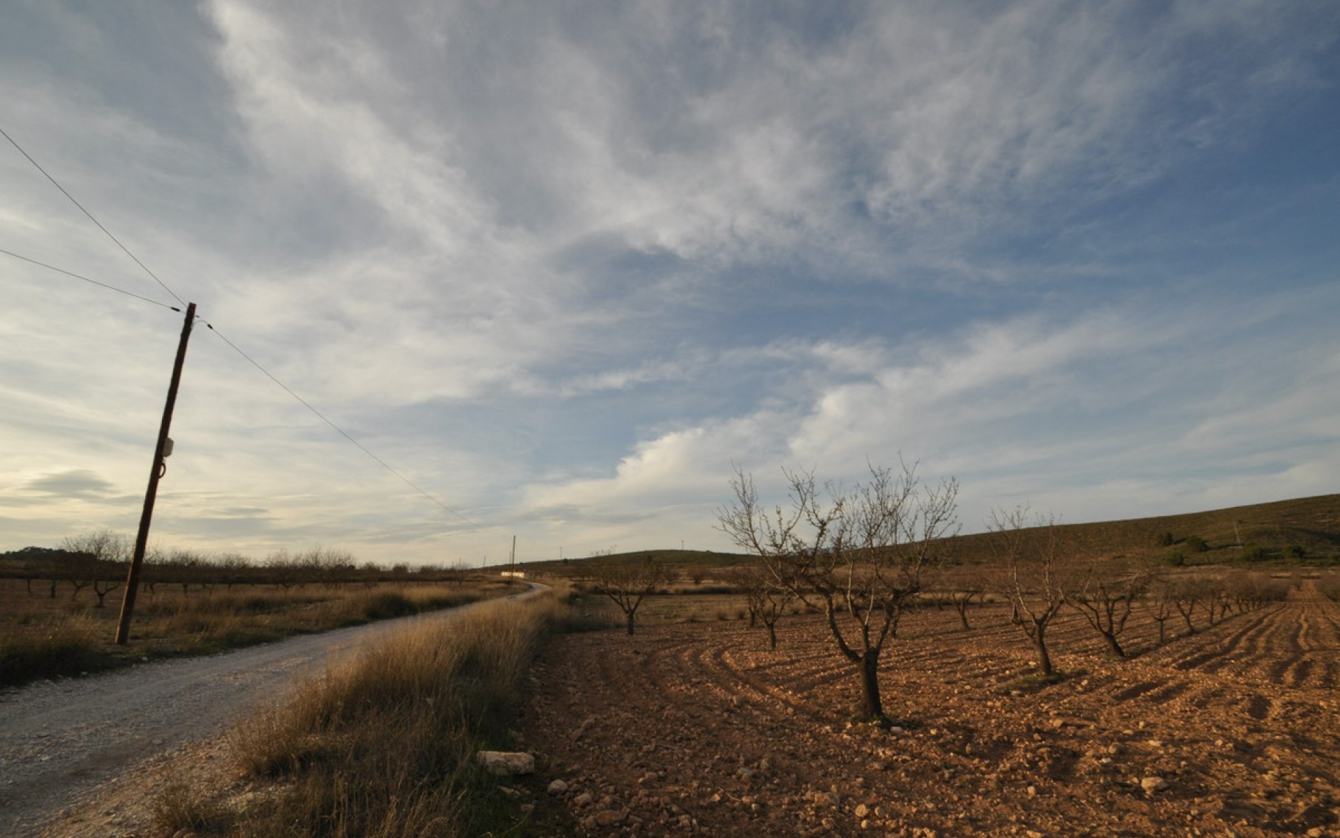 Resale - Land - Abanilla - Abanilla Centro