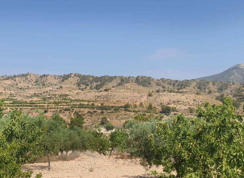 Resale - Land - Abanilla - Abanilla Centro