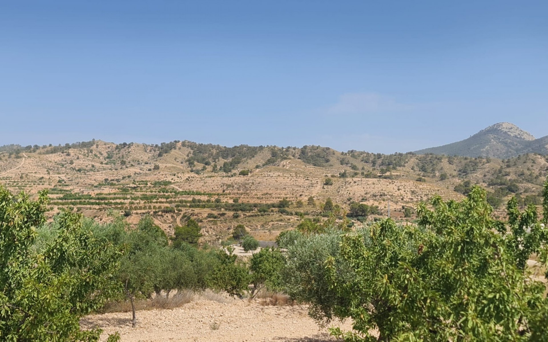 Resale - Land - Abanilla - Abanilla Centro