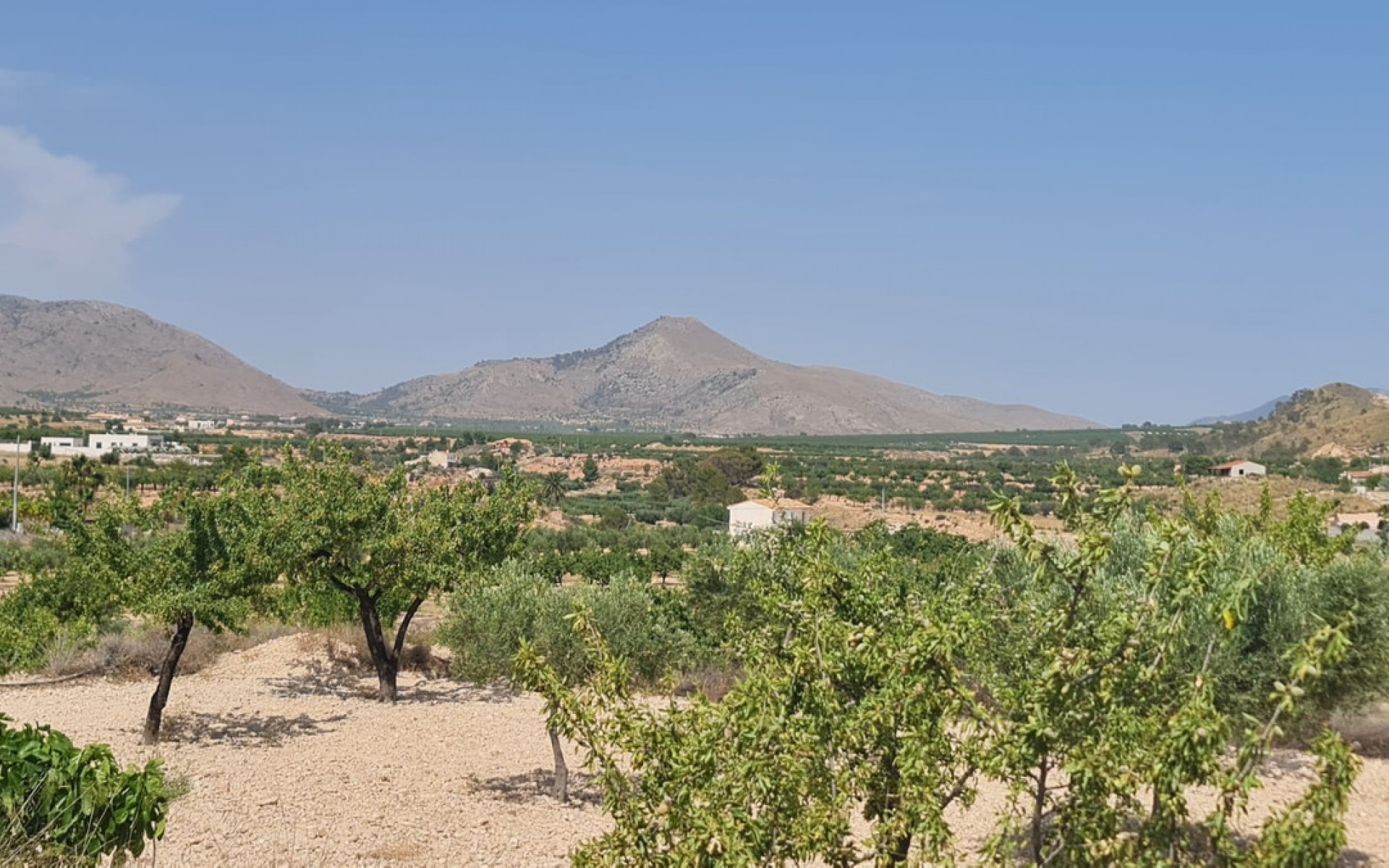 Resale - Land - Abanilla - Abanilla Centro