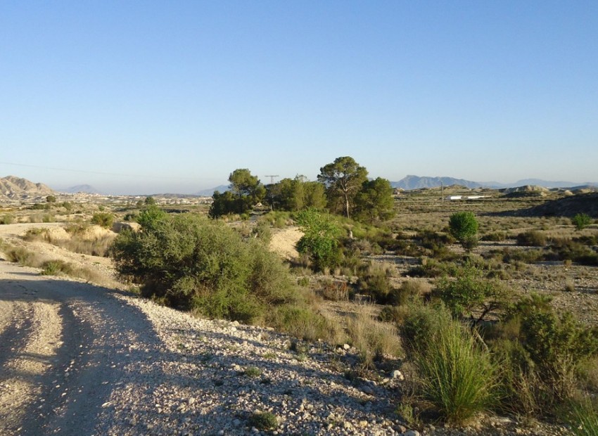 Resale - Land - Abanilla - Abanilla Centro