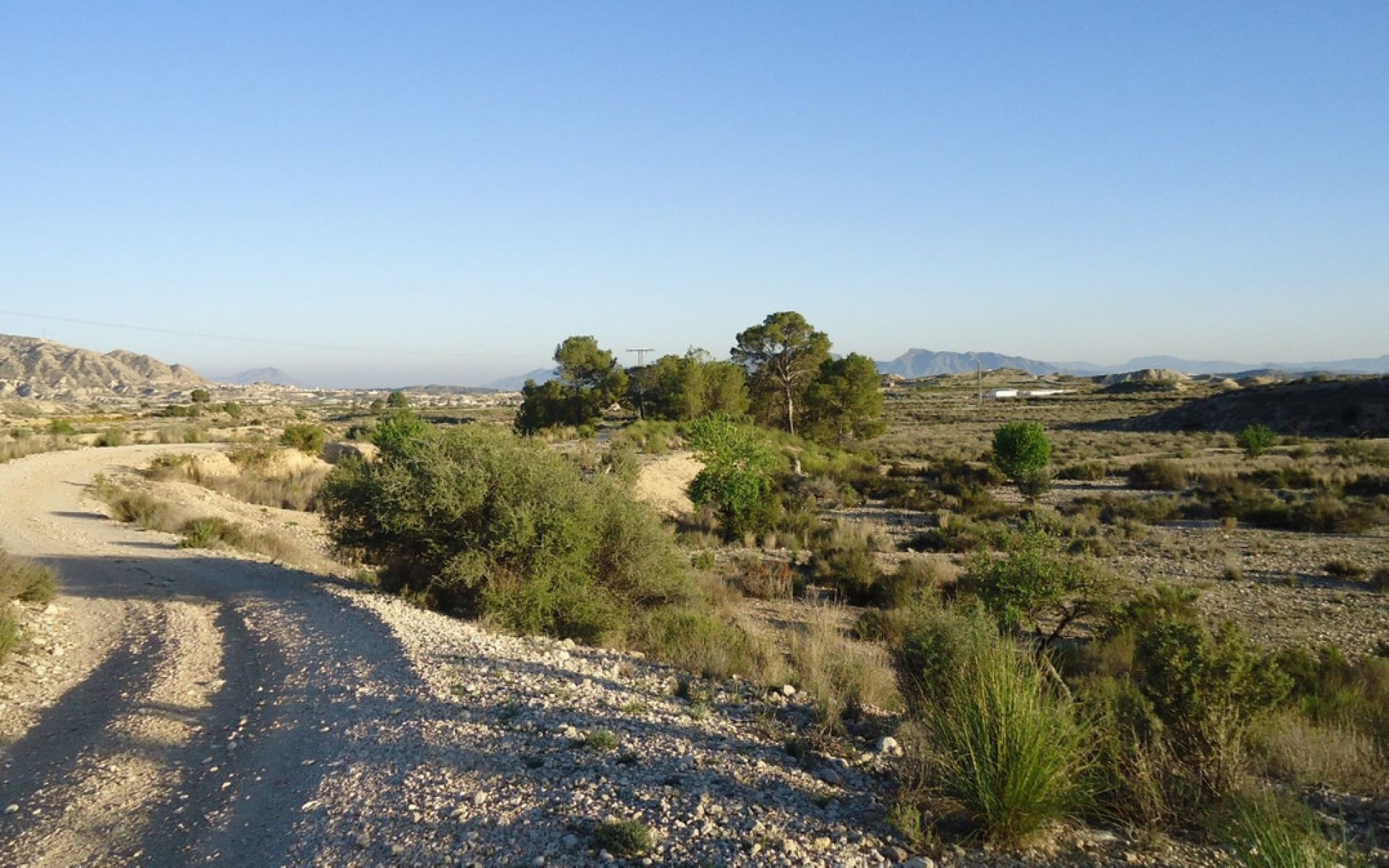 Resale - Land - Abanilla - Abanilla Centro