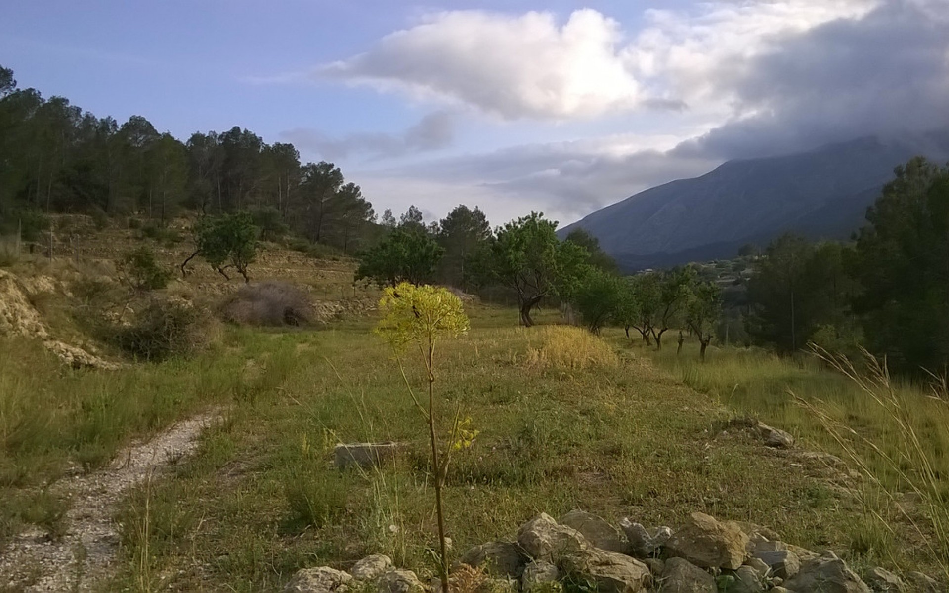 Resale - Land - BenIssa - Benissa Centro