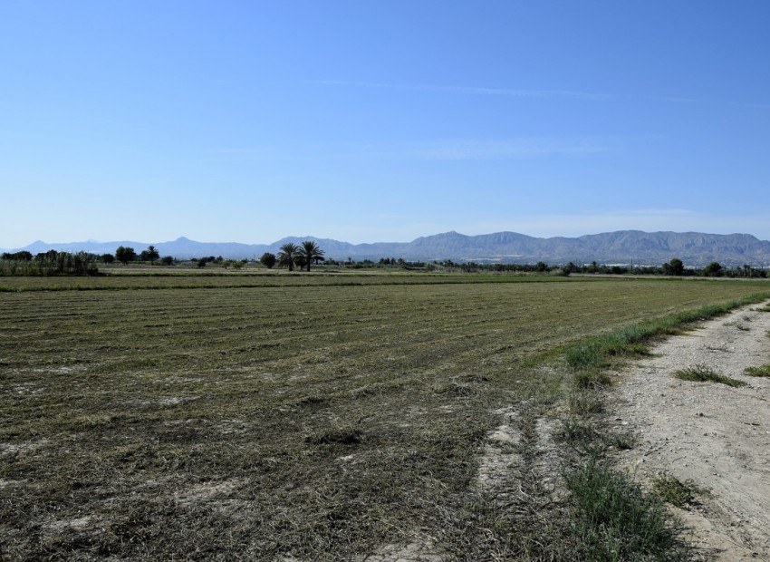 Resale - Land - Catral - Catral Centro