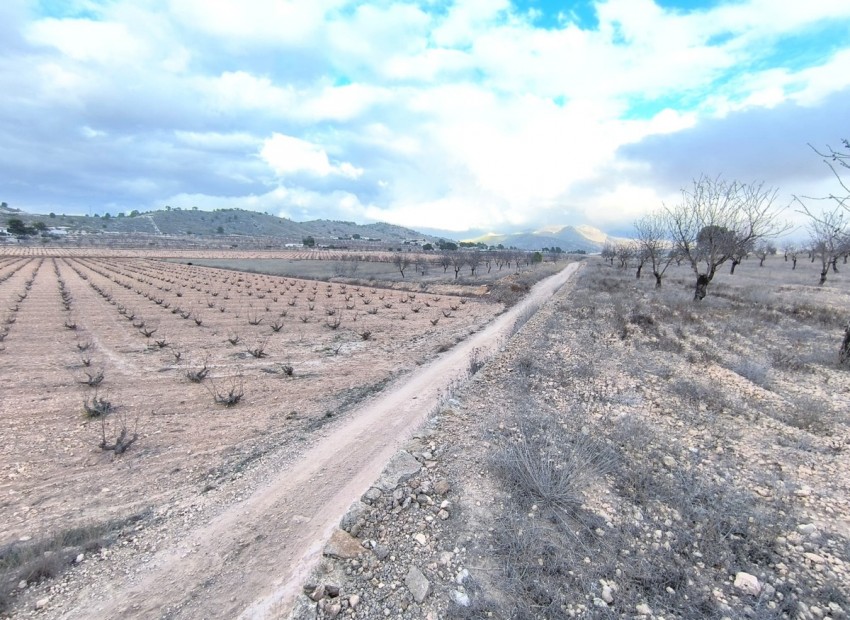 Resale - Land - Jalon - La Solana