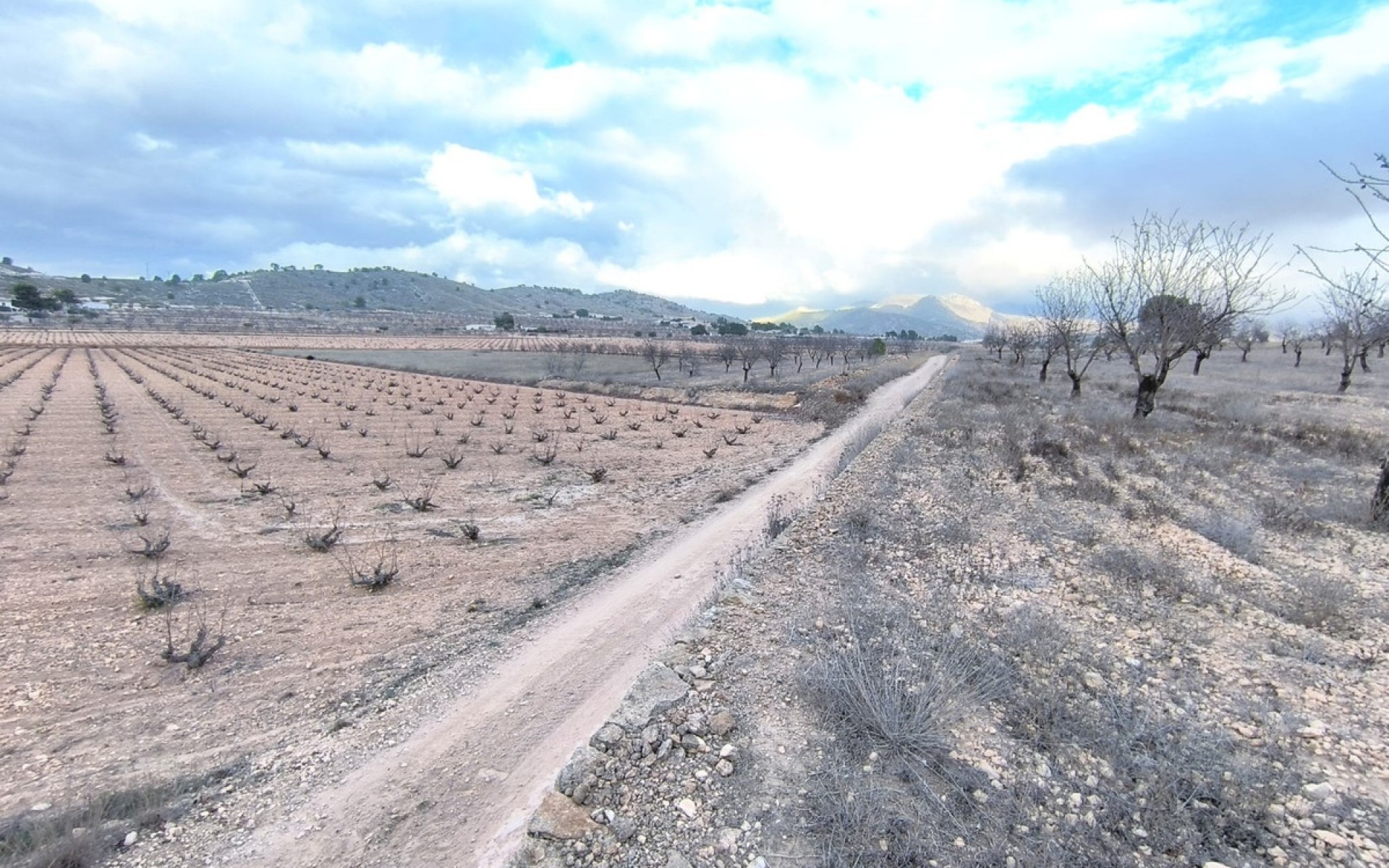 Resale - Land - Jalon - La Solana