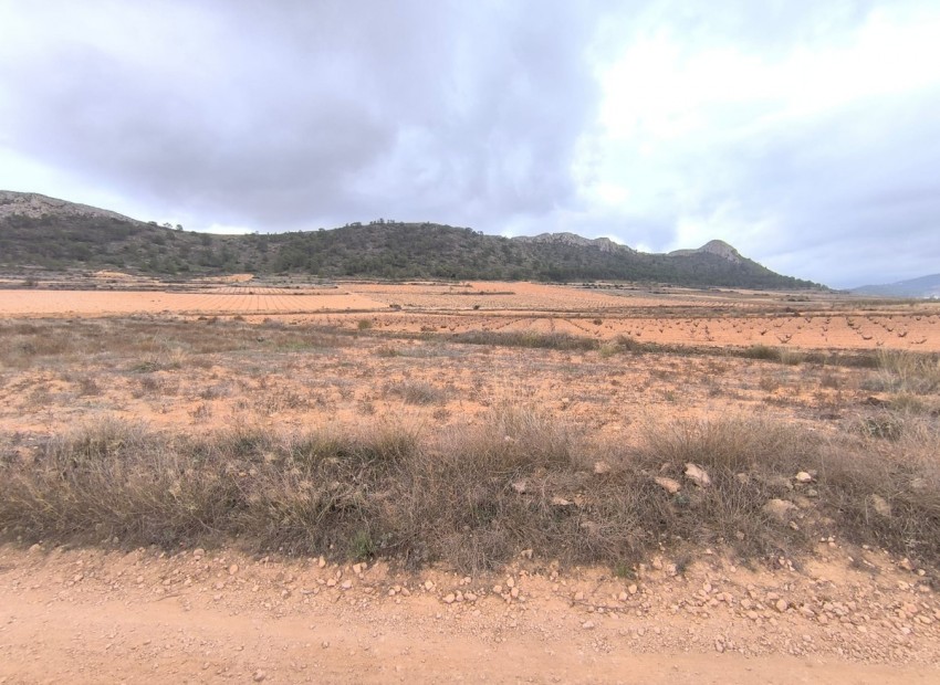 Resale - Land - Jalon - La Solana