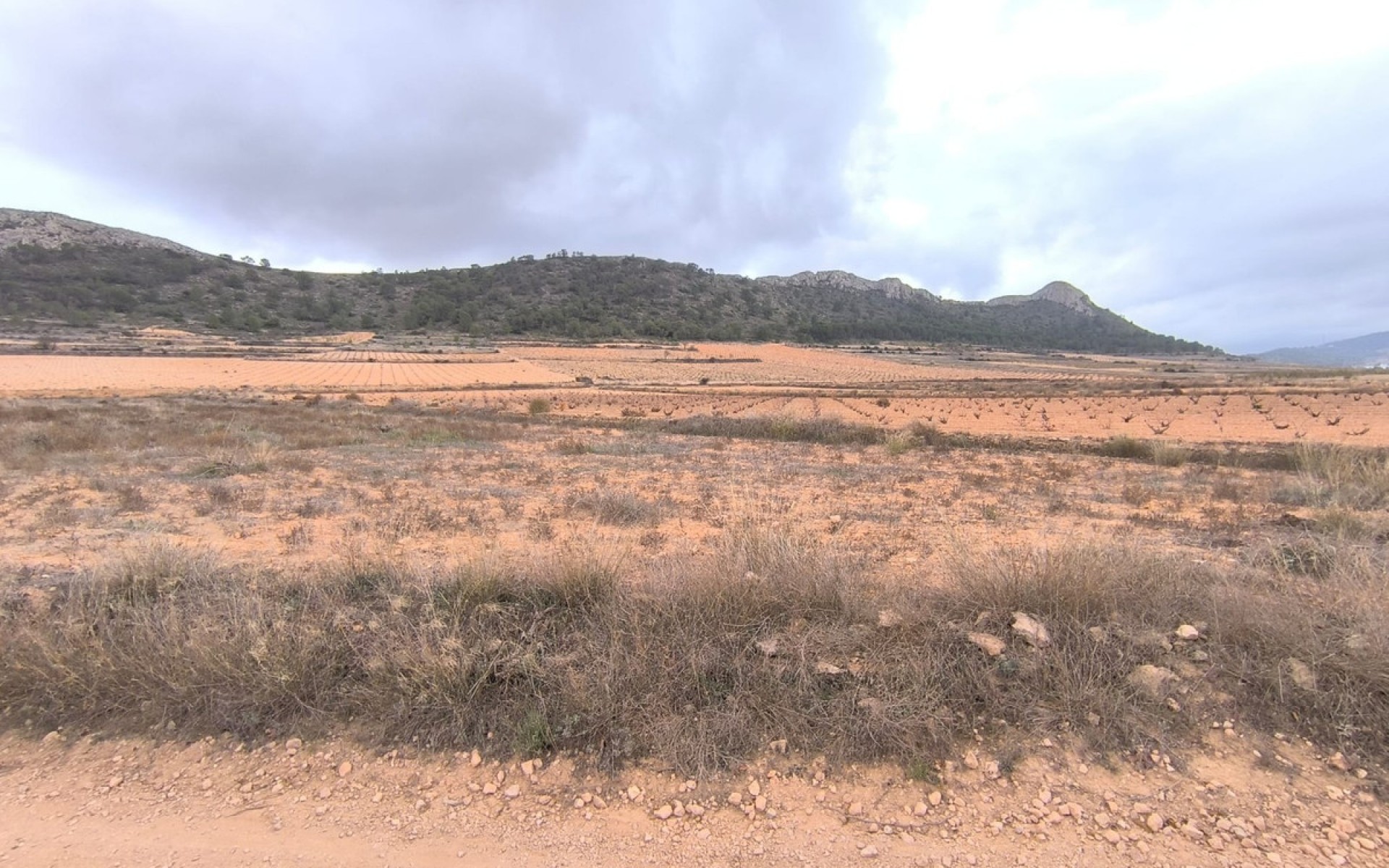 Resale - Land - Jalon - La Solana