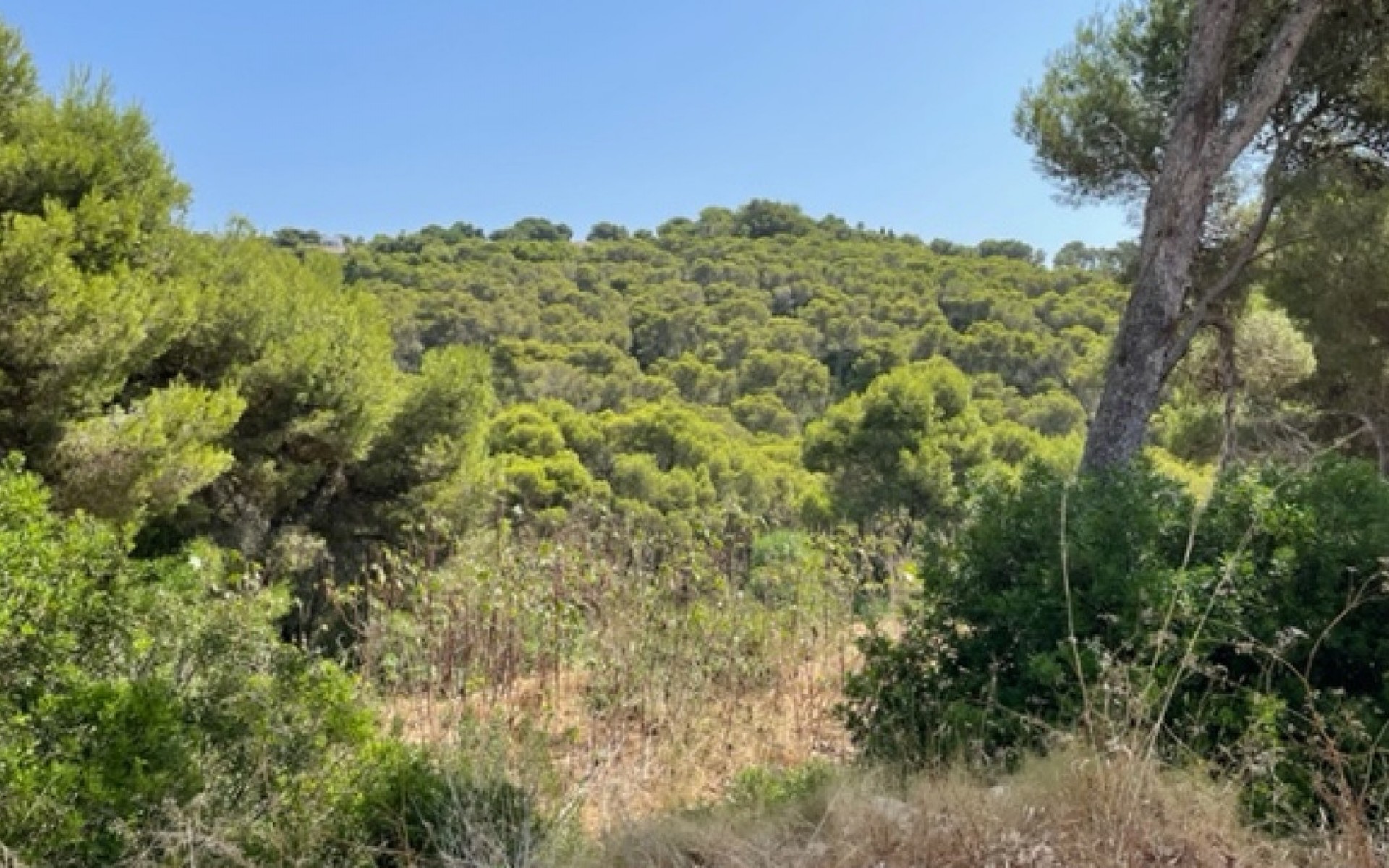 Resale - Land - Jávea - Xàbia - Jávea - Xàbia Centro